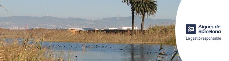 Arrancan las pruebas para la mejora ambiental del tramo final del río Llobregat con agua regenerada