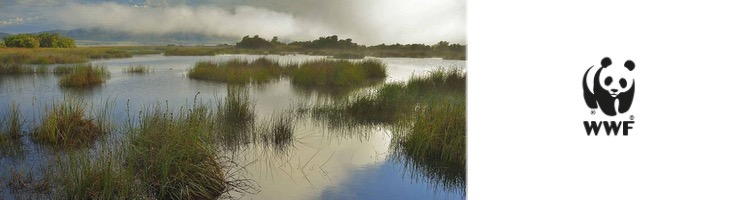 La importancia de no dejar atrás la salud de los ríos y los humedales