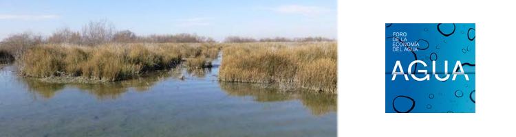 El Foro de la Economía del Agua reivindica la función de los humedales como soluciones naturales de gestión del agua