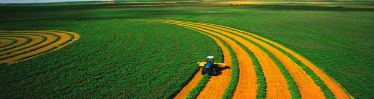 Investigadores de Chile desarrolla un sistema de higienización de lodos de PTAR para su uso en agricultura