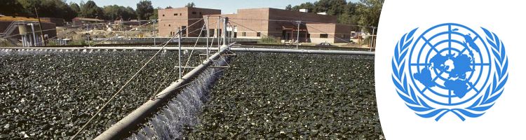 La FAO hace un llamamiento para el aprovechamiento de las aguas residuales en la agricultura