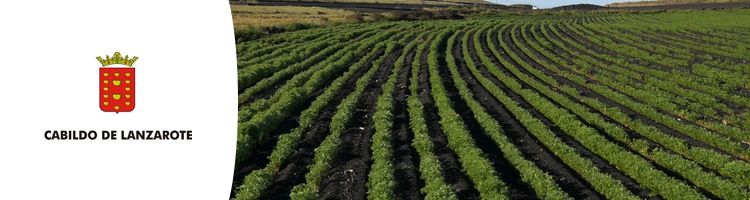 Inversiones en Lanzarote propician una notable mejoría en la calidad de las aguas regeneradas para uso agrícola