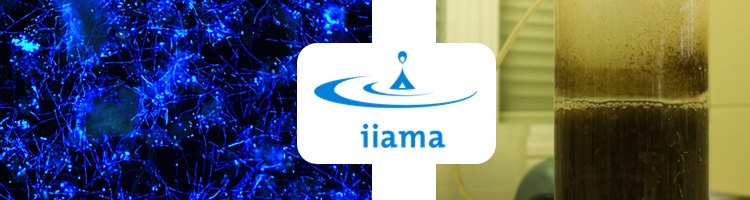 El IIAMA estudia cómo mitigar el ensuciamiento de las membranas en MBR para lixiviados