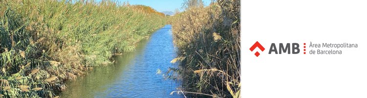 El AMB impulsa la aportación de agua regenerada para mejorar el estado ecológico del Canal de la Bunyola en Barcelona