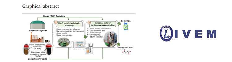 Un artículo científico muestra los trabajos de IVEM y AINIA en el proyecto NEOSUCCESS sobre purificación de biogás