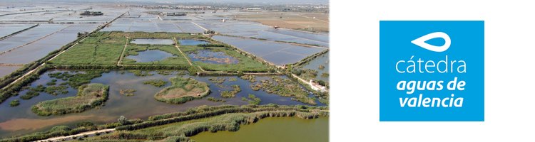 Un estudio de la Cátedra Aguas de Valencia confirma el impacto positivo de los humedales artificiales del Tancat de Milia en la calidad del agua de L’Albufera