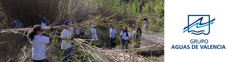 Voluntarios de AGUAS DE VALENCIA y la FUNDACIÓN LIMNE avanzan en el proyecto de recuperación de la Biodiversidad del Río Turia