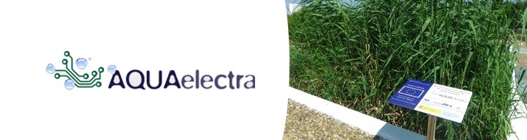 Aprobada una nueva patente para la eliminación bacteriana de nitrato en aguas residuales desarrollada en el Proyecto AQUAELECTRA