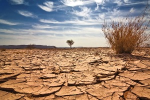 Investigadores españoles buscan frenar la desertización depurando agua con pilas de combustible