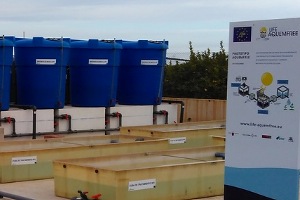 Murcia celebra una jornada sobre la descontaminación de las aguas residuales de los envases de plaguicidas en agricultura