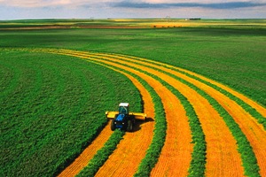 Investigadores de Chile desarrolla un sistema de higienización de lodos de PTAR para su uso en agricultura