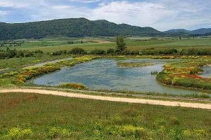 La Agencia Vasca del Agua-URA ha restaurado y reforestado el Humedal de Pedroko en Álava