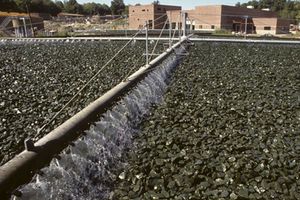 La FAO hace un llamamiento para el aprovechamiento de las aguas residuales en la agricultura