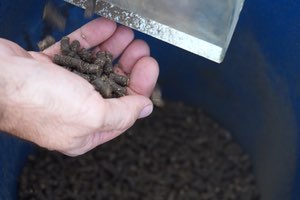 PROMEDIO cierra el proyecto IDERCEXA que buscaba obtener pellets de biomasa a partir de fangos y restos vegetales