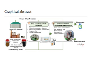 Un artículo científico muestra los trabajos de IVEM y AINIA en el proyecto NEOSUCCESS sobre purificación de biogás