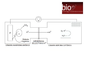 IMDEA Agua, CENTA y Joca patentan un nuevo electrodo para aplicación en reactores electrogénicos microbianos