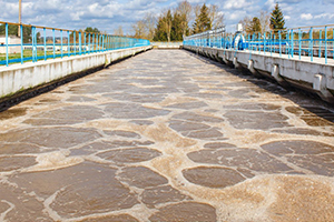 Biorremediación de aguas residuales: Un enfoque sostenible para las aguas residuales