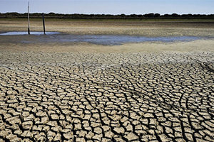 Giahsa aprueba inversiones de emergencia por la sequía para socorrer a varios municipios de la Sierra de Huelva
