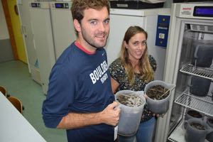 Eliminan hasta el 95% de los nitratos de salmueras aplicando técnicas norteamericanas de rehumedecimiento en Murcia