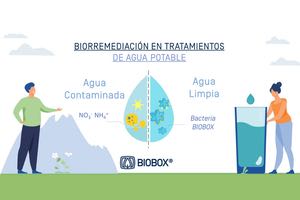 Biorremediación en tratamientos de Agua Potable
