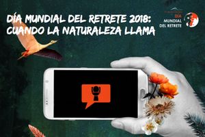 Día Mundial del Retrete 2018: Cuando la naturaleza llama