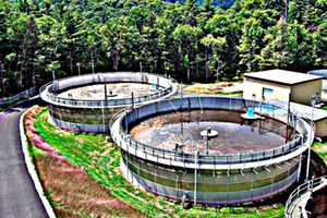 Eliminación biológica de nutrientes en aguas residuales con alto contenido de nitrógeno amoniacal