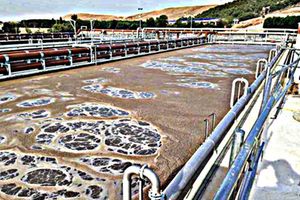 Optimización del proceso de lodos activos para reducir la generación de fangos