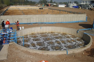 Sistema Tohá; una alternativa ecológica para el tratamiento de aguas residuales en sectores rurales