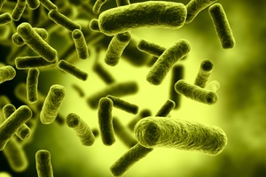 Influencia de los fármacos presentes en el agua residual sobre la resistencia de la bacteria Escherichia coli y su eliminación por oxidación avanzada