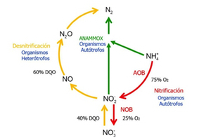Estudio del proceso de nitrificación-desnitrificación vía nitrito para el tratamiento biológico de corrientes de agua residual con alta carga de nitrógeno amoniacal