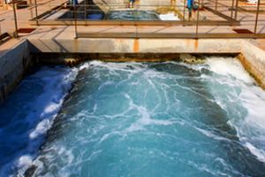 Aspectos ambientales de la desalinización de agua de mar: Regulación y gestión de los vertidos