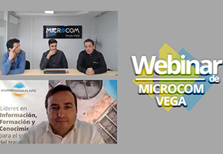 WEBINAR "Supervisión precisa de alivios sin alimentación eléctrica" de VEGA y MICROCOM